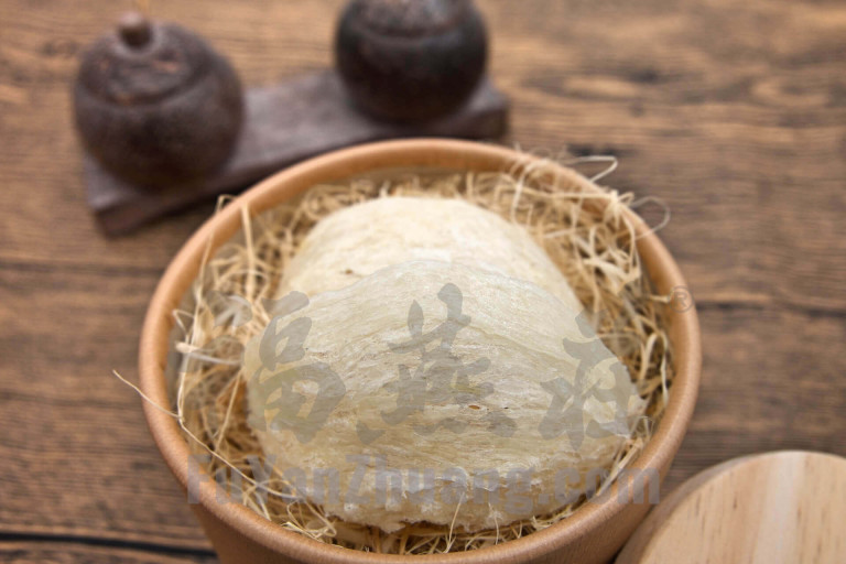 新加坡福燕庄燕窝：燕盏