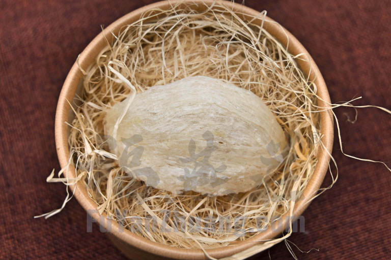 新加坡福燕庄燕窝：燕盏