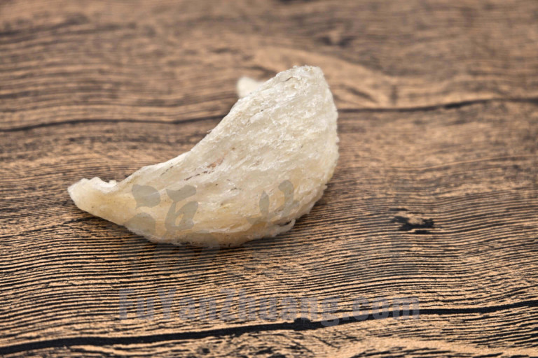 新加坡福燕庄燕窝：燕盏